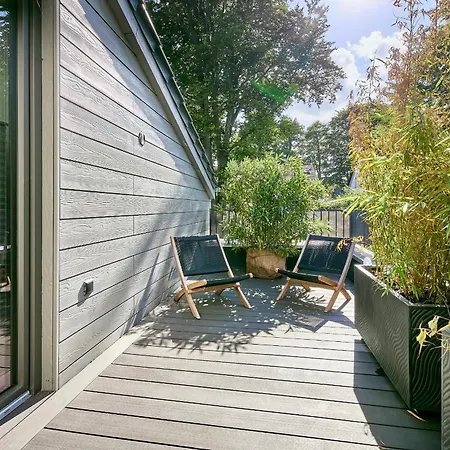 My Baltic Sea - Sea Shell