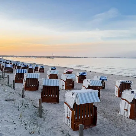 My Baltic Sea - Sea Shell *